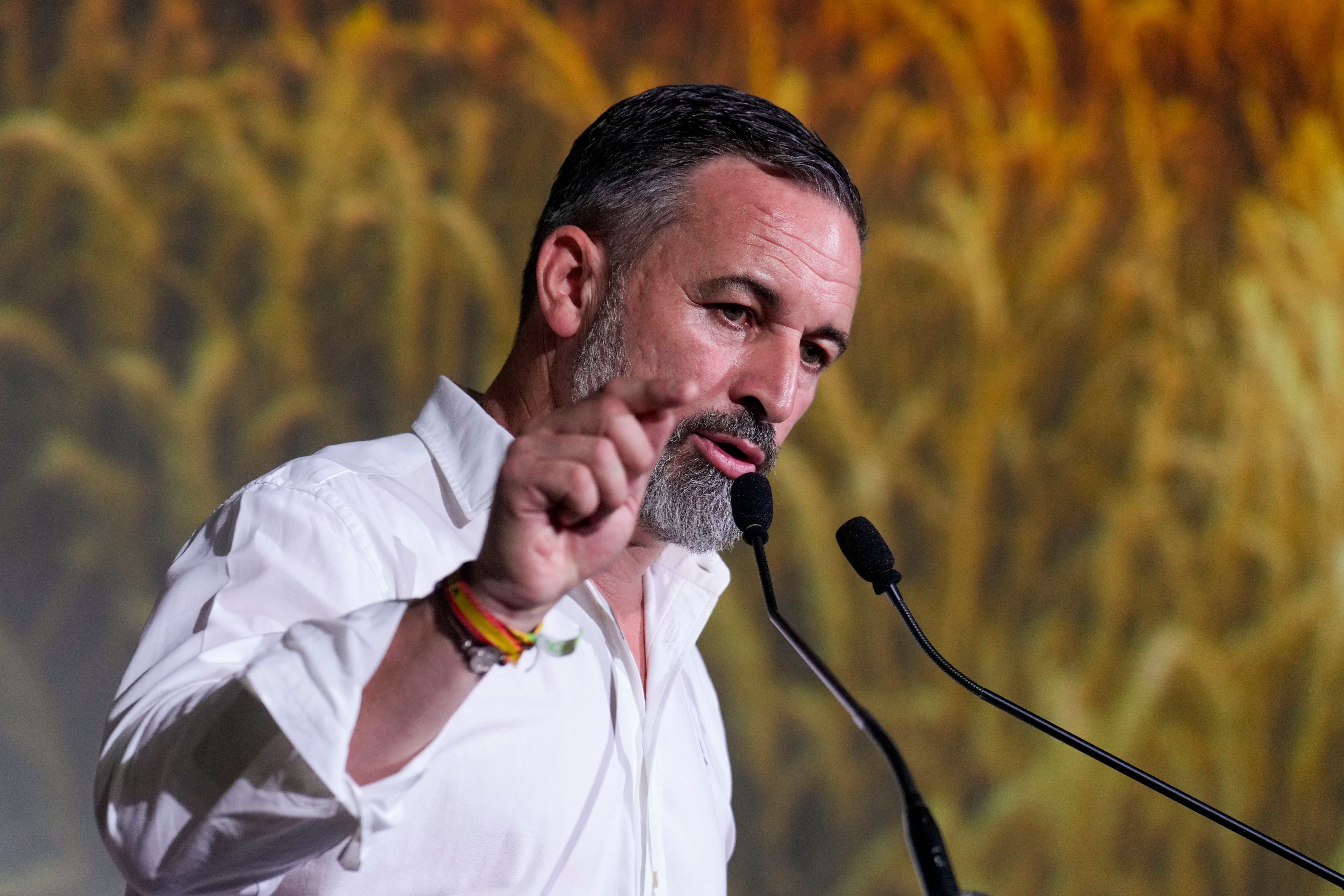 Abascal advierte al PP de que volverá a romper los gobiernos autonómicos si no cumple lo pactado
