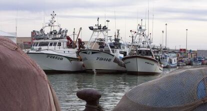 Pesqueros atracados en el puerto de Barbate.