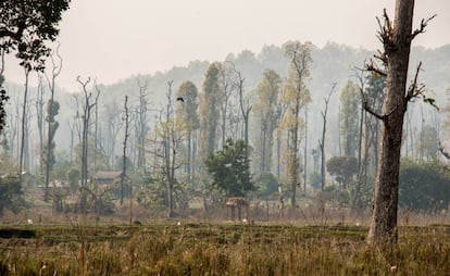 Assentamento humano no parque nacional de Chitwan, no Nepal.