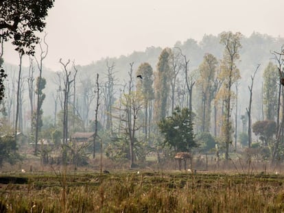 Asentamiento humano en el parque nacional Chitwan, Nepal.