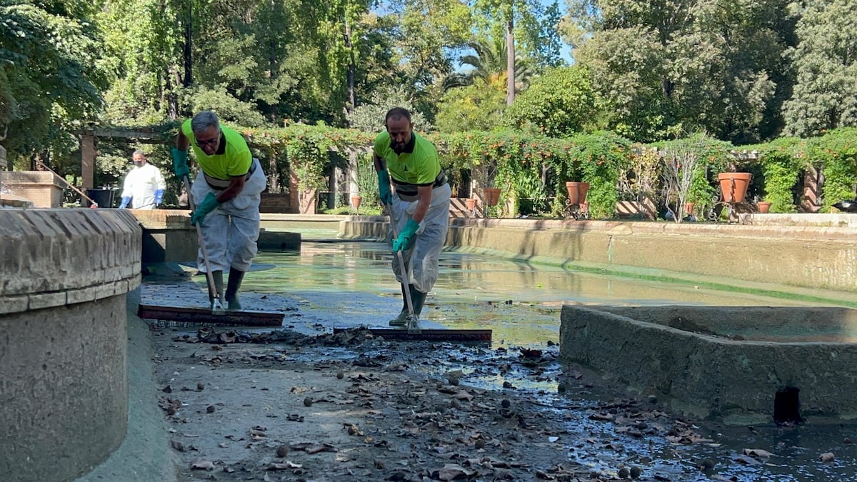 El Ayuntamiento de Sevilla ordena el cierre preventivo del Parque de María Luisa tras la aparición de otros cinco patos muertos