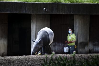 Visita al zoo de Madrid mes y medio despus de que se decretase el estado de alarma.