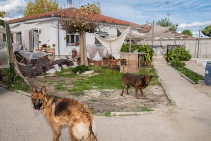 Los efectos de la dana aún son visibles en una casa de Villamanta que se encontraba junto al río.