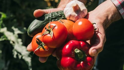 La receta del gazpacho más vendido en España