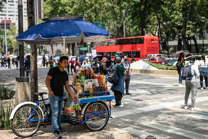 Comercio ambulante en México trabajo informal