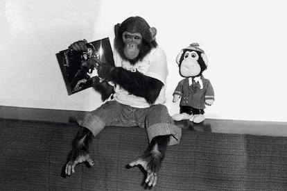 Bubbles, el chimpanc&eacute; que vivi&oacute; con Michael Jackson (y hoy est&aacute; retirado en un santuario para primates en Florida), presumiendo de amigos famosos.  