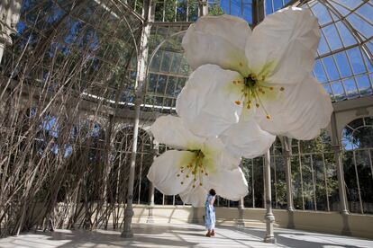 Exposición del artista kosovar Petrit Halilaj organizada por el Reina Sofía en el Palacio de Cristal del Retiro.