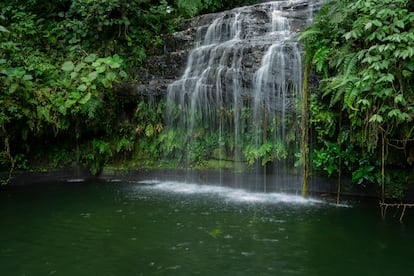 Gran parte del municipio La Colmena, del departamento de Paraguarí, se abastece del agua de este arroyo, por eso está prohibido el baño en la cascada.