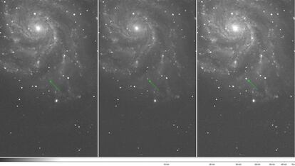 Imágenes de la galaxia M101 los dias 22, 23 y 24 de agosto (de izquierda a derecha) con la supernova marcada y claramente visible en la última.