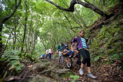 Trekkers in Tenerife.