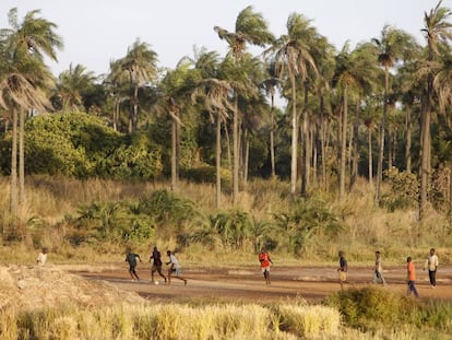 Unos niños juegan al fútbol en Casamance (Senegal).