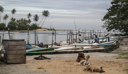 La costa de Matara, al sur de Sri Lanka, que fue arrasada por un tsunami en 2004.