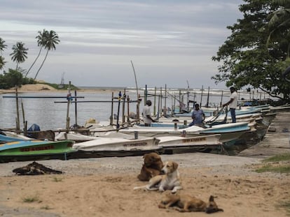 La costa de Matara, al sur de Sri Lanka, que fue arrasada por un tsunami en 2004.