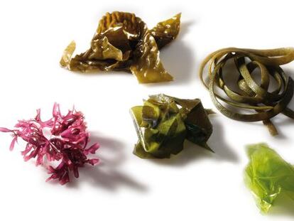 20 tendencias gastronómicas