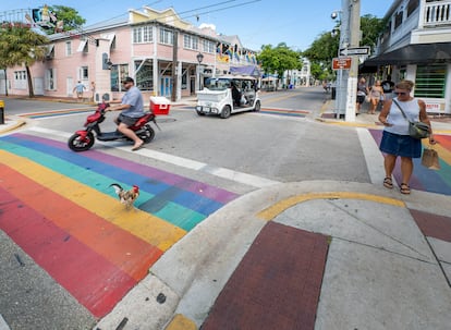 Pasos de arcoíris en las calles Duval y Petronia, en Cayo Hueso, Florida, el 18 de agosto de 2025.