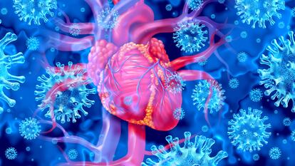 Imagen en 3D de una inflamación del corazón producida por un virus.