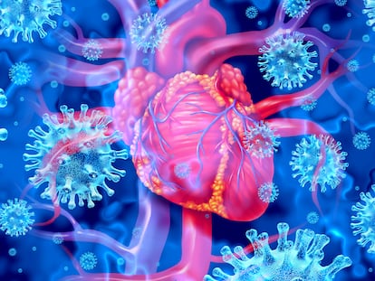 Imagen en 3D de una inflamación del corazón producida por un virus.