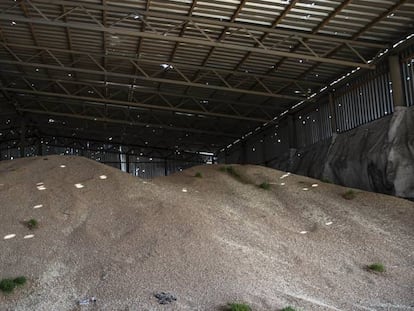 Cosecha de grano en un almacén en Ucrania. 