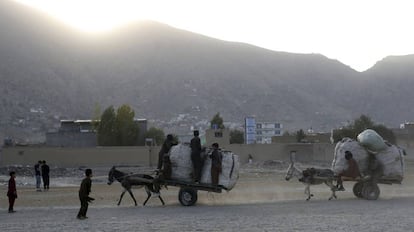 Varios niños transportan en carros tirados por burros botellas de plástico para reciclar, este miércoles a las afueras de Kabul. 