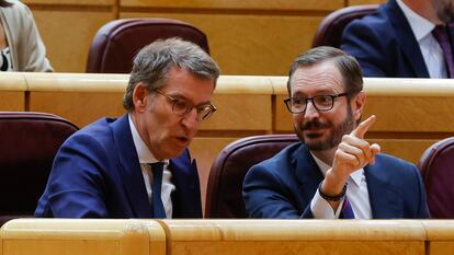 Alberto Núñez Feijóo y Javier Maroto, este miércoles en el Senado.