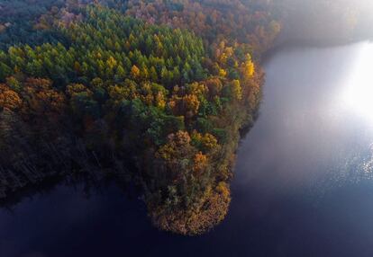 Un bosque con los colores del otoño en Trepli (Alemania), el 12 de noviembre de 2016.