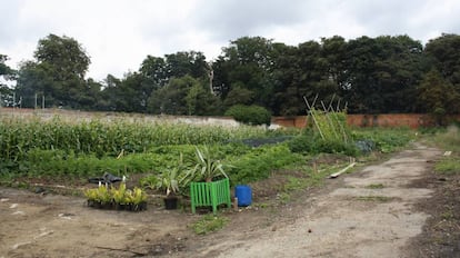 The Walled Garden en Bedford's Park, Londres. 2012