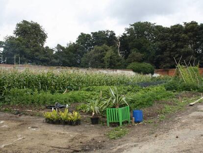 The Walled Garden en Bedford's Park, Londres. 2012