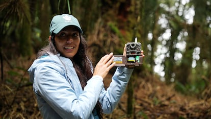 Cristina Abugarade, coordinadora de monitoreo biológico, en la reserva.