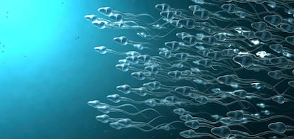 Los datos recogidos en el último encuentro de la Sociedad Europea de Reproducción Humana y Embriología, celebrado en Copenhague, indicaron que solo se detectan el 11% de los casos de problemas reproductivos en el hombre.