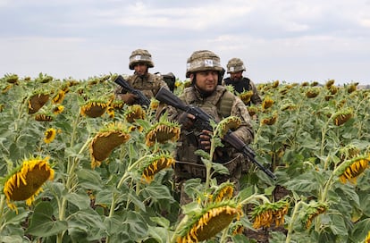 Soldados ucranios se entrenan en un campo de girasoles en la región Zaporiyia.