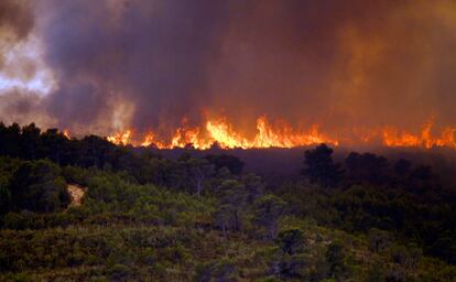 Uno de los frentes del incendio que arrasa los montes en Valencia, el viernes.