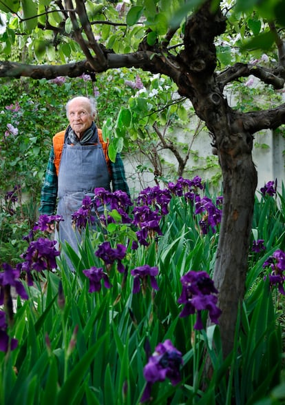 Antonio López, en su jardín, junto al membrillo que retrató Víctor Erice en 'El sol del membrillo'.