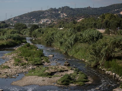 El río Besòs entre Montcada y Reixac y Santa Coloma de Gramenet, en una imagen de archivo.