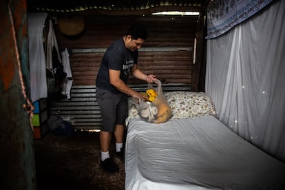 Efraín Díaz es un nicaragüense que trabaja en la construcción en Santa Teresa y vive en Costa Rica desde hace más de 20 años. Sus condiciones de vida siguen siendo casi las mismas que cuando llegó. Vive en una pequeña choza de metal con su pareja y paga unos 122 euros de alquiler. Gana al mes, como otros trabajadores de la construcción, entre 660 y 942, y trabaja 60 horas a la semana en seis días.