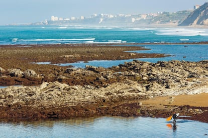 A mitad de camino entre Biarritz y San Juan de Luz se pasa por el pequeño pueblo costero de <a href="https://www.guethary.fr/" target="_blank"> Guéthary</a>, que en el siglo XIX pasó de ser un puerto ballenero a convertirse en un elegante retiro de turistas acomodados. Su paseo marítimo es un agradable lugar para una apacible caminata vespertina, con un par de playitas de arena al abrigo del espigón, algunos ejemplos notables de arquitectura 'art déco' y un interesante y ecléctico museo: el de<a href="https://www.musee-de-guethary.fr/es/presentando/" target="_blank"> Villa Saraleguinea</a>, donde se exhiben piezas arqueológicas, cerámicas y arte contemporáneo. Guéthary es también muy popular entre los surfistas por su famosa ola Avalanche.