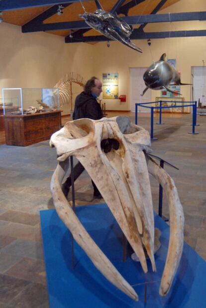 Sala de exposiciones de la nueva sede de la Sociedade Galega de Historia Natural en Ferrol.