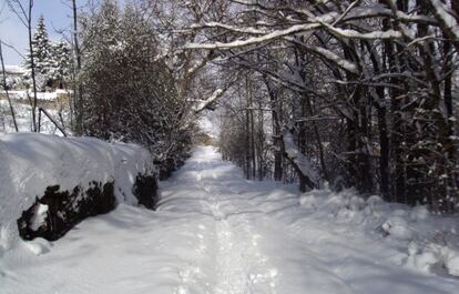 Una de las calles principales de Riolago de Babia (León), un día de nieve.