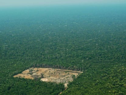 Imagem de setembro de 2017 de região desmatada na região da Amazônia brasileira. 