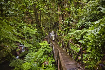 Con cascadas, junglas, manantiales sulfurosos, pozas secretas, ríos y arrecifes, <a href="https://www.lonelyplanet.es/america-del-norte-y-central/dominica" target="_blank">Dominica</a> permite experiencias y aventuras poco habituales. Gran parte de esta isla volcánica está cubierta de selva tropical virgen. Aquí se puede caminar hasta un lago burbujeante o relajarse en fuentes termales sulfurosas, bucear con tubo o nadar en una estrecha garganta… Dominica es un destino de ecoaventuras que se ha librado en muchos aspectos del turismo de masas porque tiene muy pocas playas de arena, ni un solo 'resort' de lujo y ningún vuelo directo internacional. Una curiosidad: aquí viven todavía 2.200 caribes, la única población precolombina del Caribe oriental.
