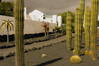 Bodega El Grifo, en Lanzarote, Canarias