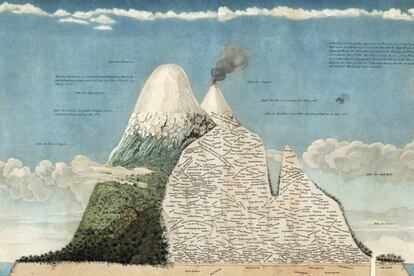 Detalle del uno de los dibujos de Humboldt.