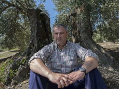 Antonio Pulido, en su olivar de Martos (Jaén).