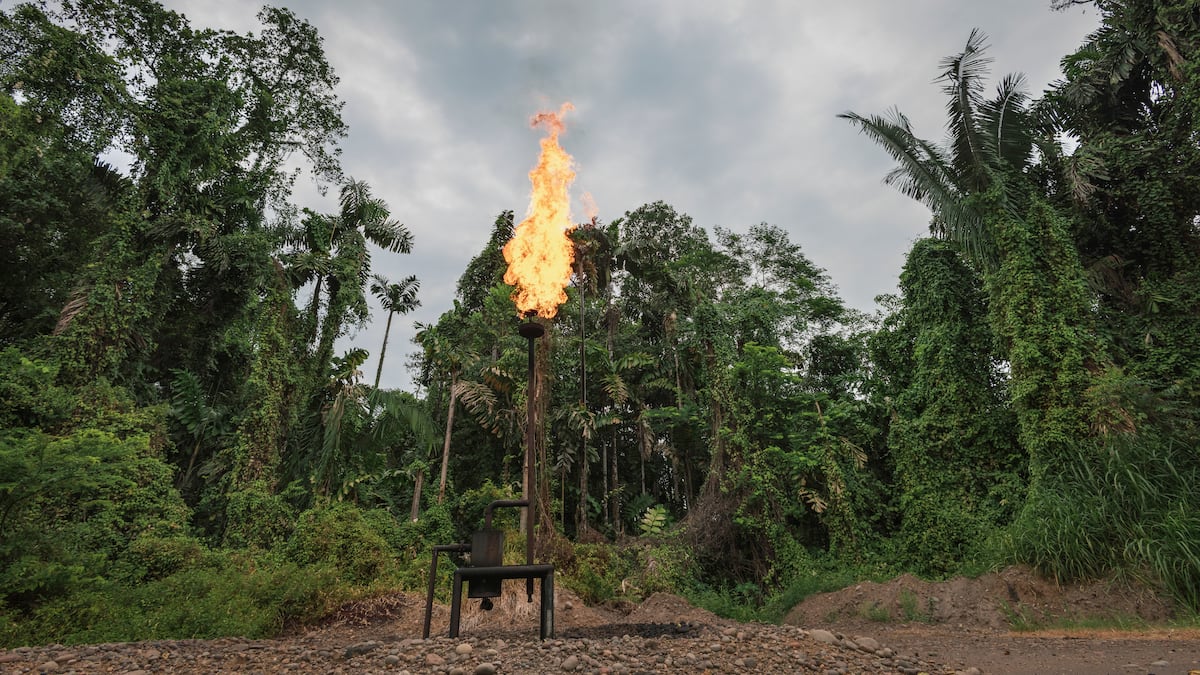 Ecuador and oil: a challenge for democracy and the Amazon