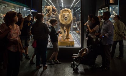 La Noche de los Museos en el Museo Blau de Ciencias Naturales de Barcelona.
