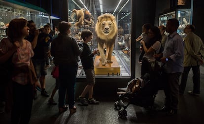 La Noche de los Museos en el Museo Blau de Ciencias Naturales de Barcelona.                                                                                                 