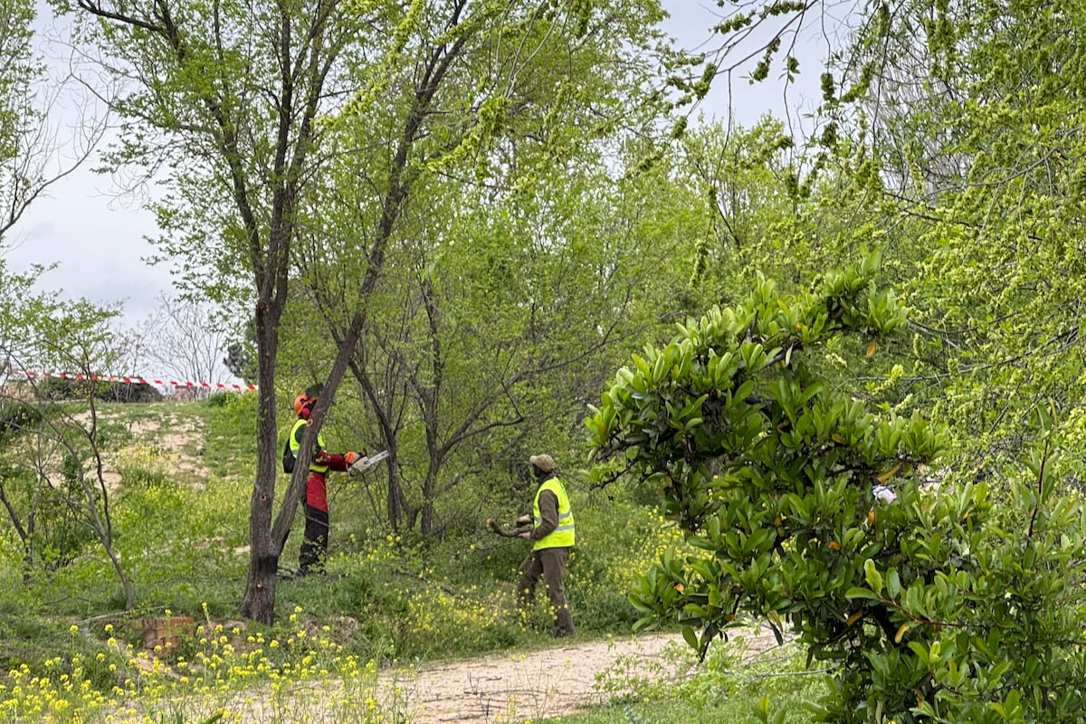 El Ayuntamiento de Madrid anuncia un parque verde de 63.000 metros cuadrados en Montecarmelo que rodeará al cantón