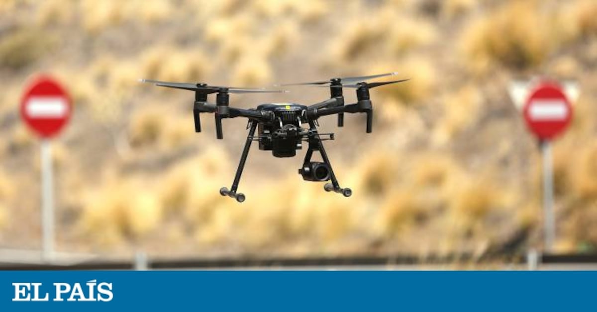 elpais.com