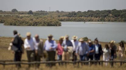 Un grupo de flamencos en la Dehesa de Abajo, en la localidad sevillana de La Puebla del Río.