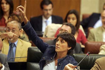 La consejera de Gobernación, Evangelina Navarro, ayer durante el pleno del Parlamento.