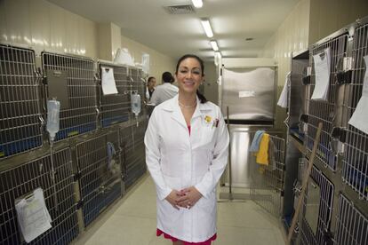 La veterinaria Silvia Viruega, directora del Hospital Veterinario